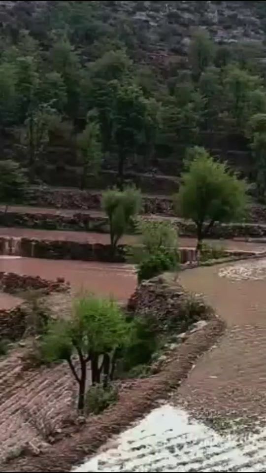 TikTok video thumbnail by have73353936