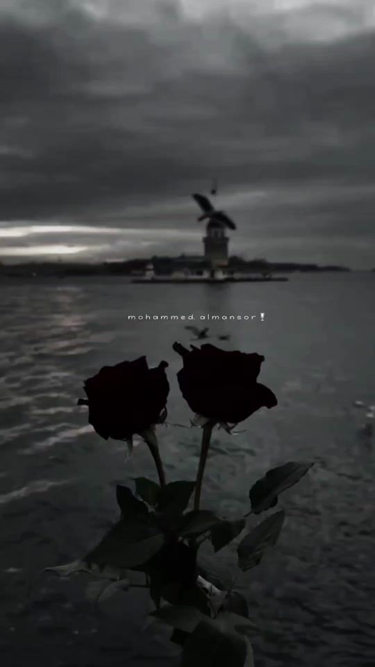 TikTok video thumbnail by mohammed_almansor7
