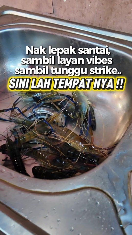 TikTok video thumbnail by ohmyperak