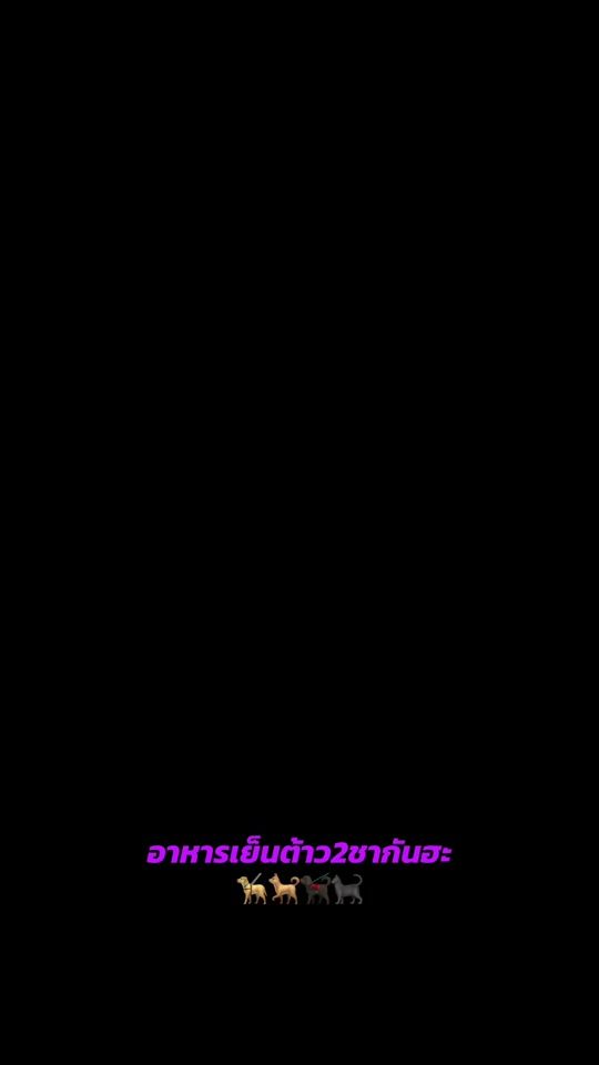 TikTok video thumbnail by pen.fondue.house.s