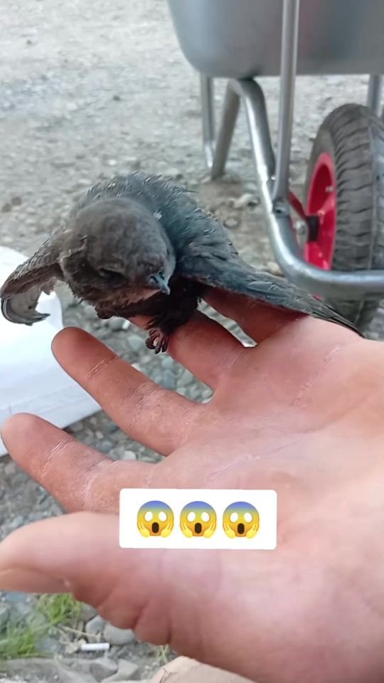 TikTok video thumbnail by nar_insaat1