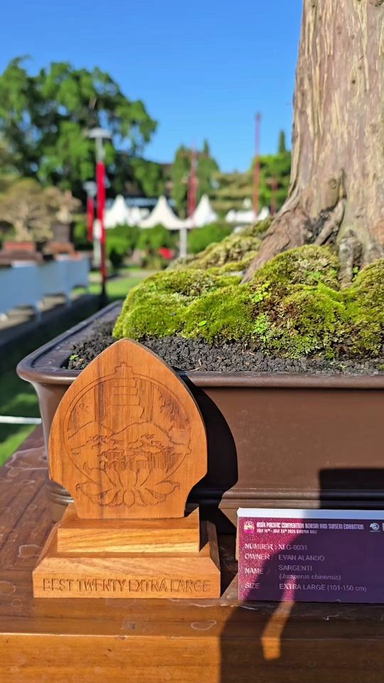 TikTok video thumbnail by evanalando