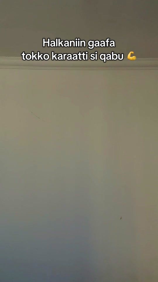 TikTok video thumbnail by letaefa