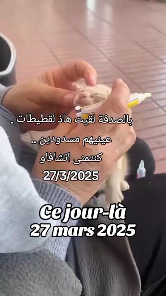 TikTok video thumbnail by hasaniaait