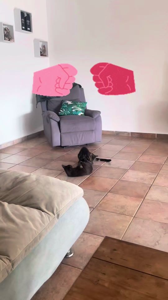 TikTok video thumbnail by juliendepaita