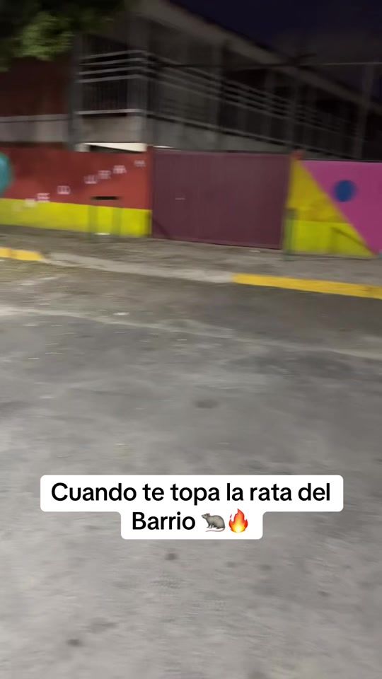 TikTok video thumbnail by auleengt