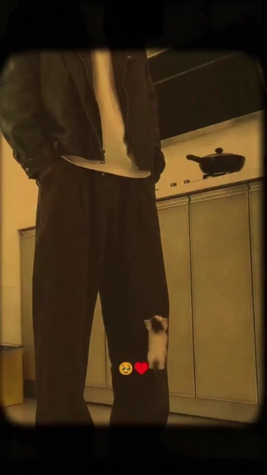 TikTok video thumbnail by lolitacatss