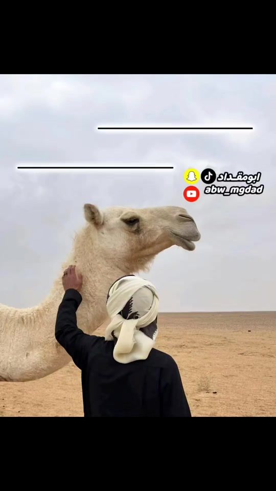 TikTok video thumbnail by abw_mgdad