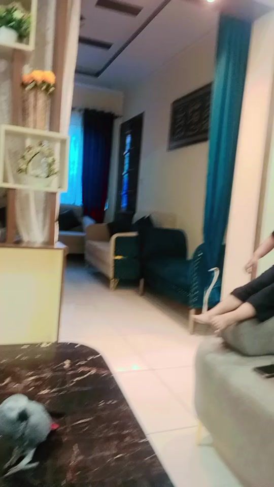 TikTok video thumbnail by ramiz390