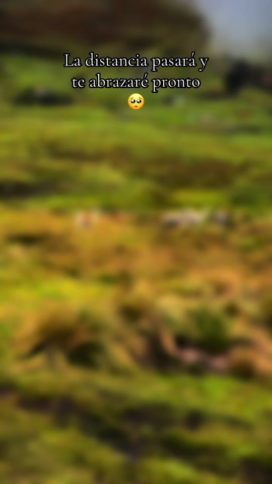 TikTok video thumbnail by ..delantera7