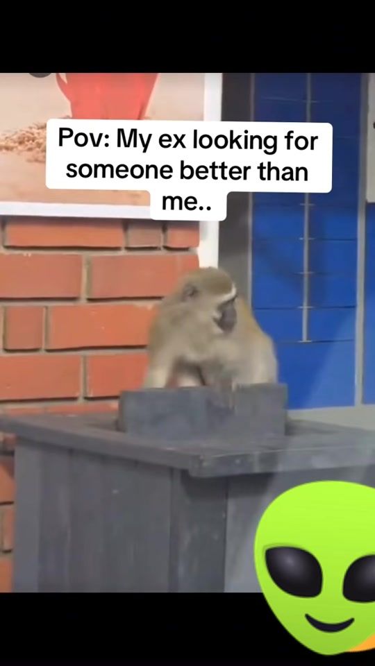 TikTok video thumbnail by namox660