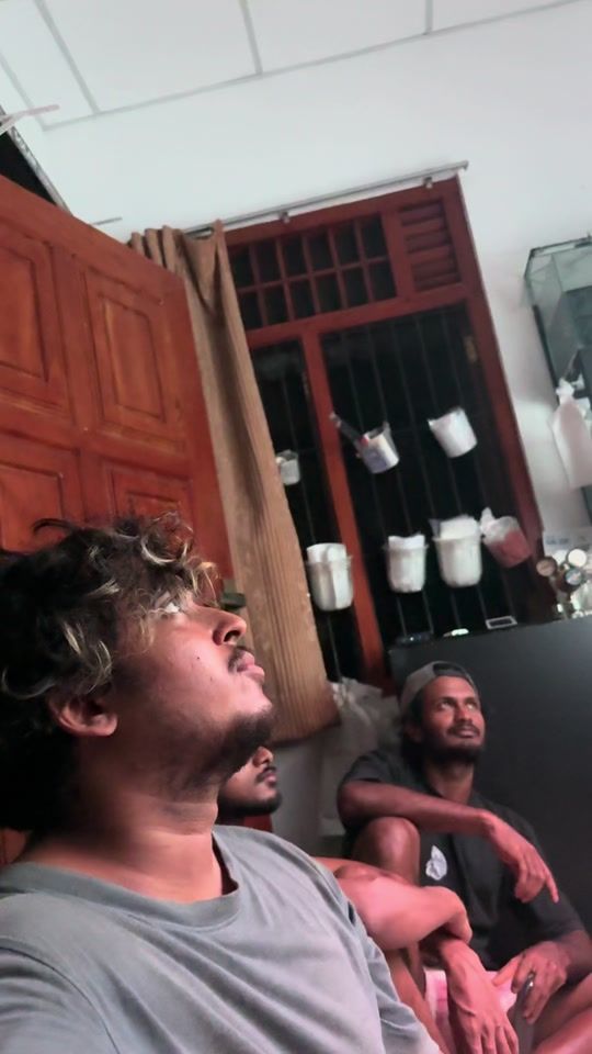 TikTok video thumbnail by nanofishcorner