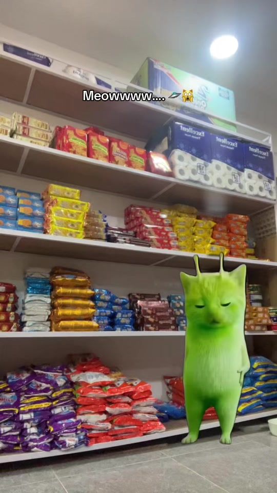 TikTok video thumbnail by pema_mange
