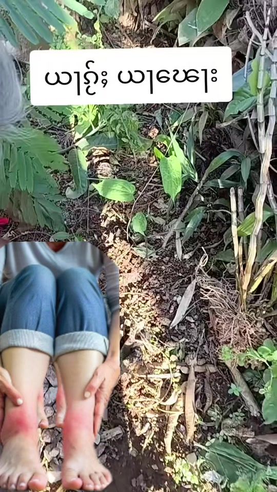 TikTok video thumbnail by sorn.lu