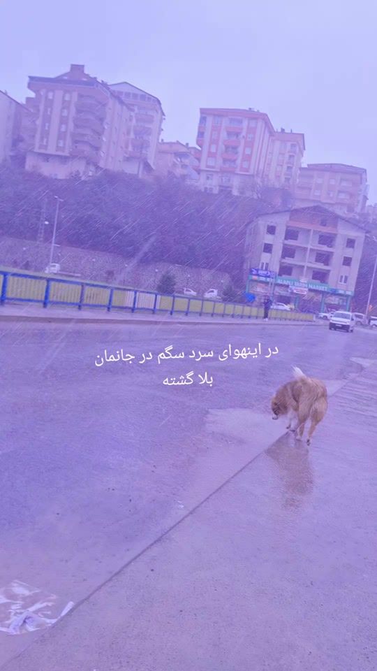 TikTok video thumbnail by esila592