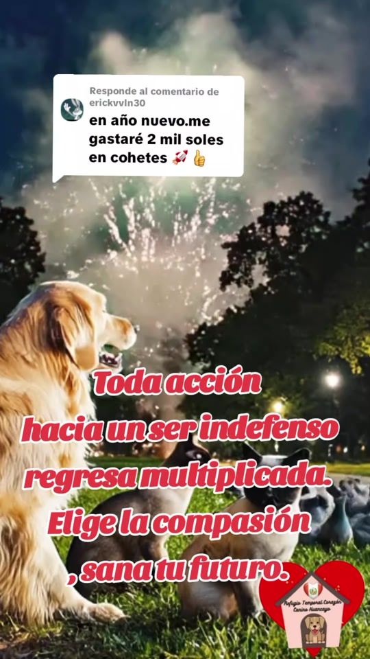 TikTok video thumbnail by corazoncaninohyo