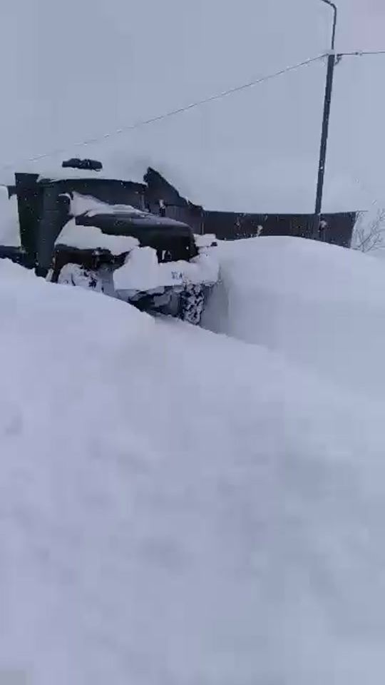 TikTok video thumbnail by phutkaradze1995