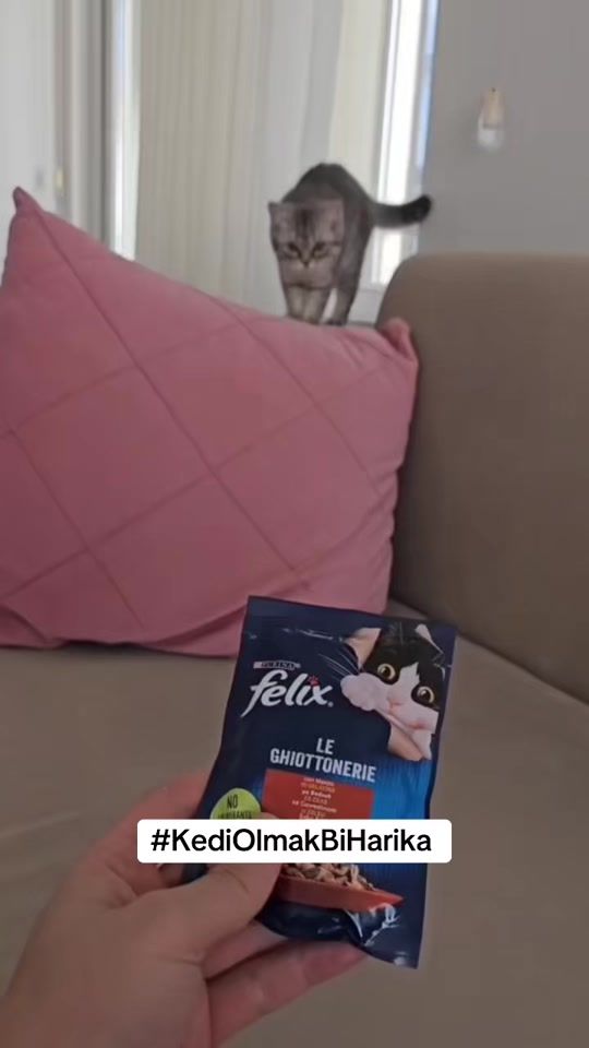 TikTok video thumbnail by liimonsu