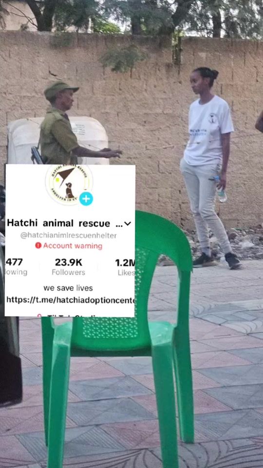 TikTok video thumbnail by hatchianimlrescuenhelter