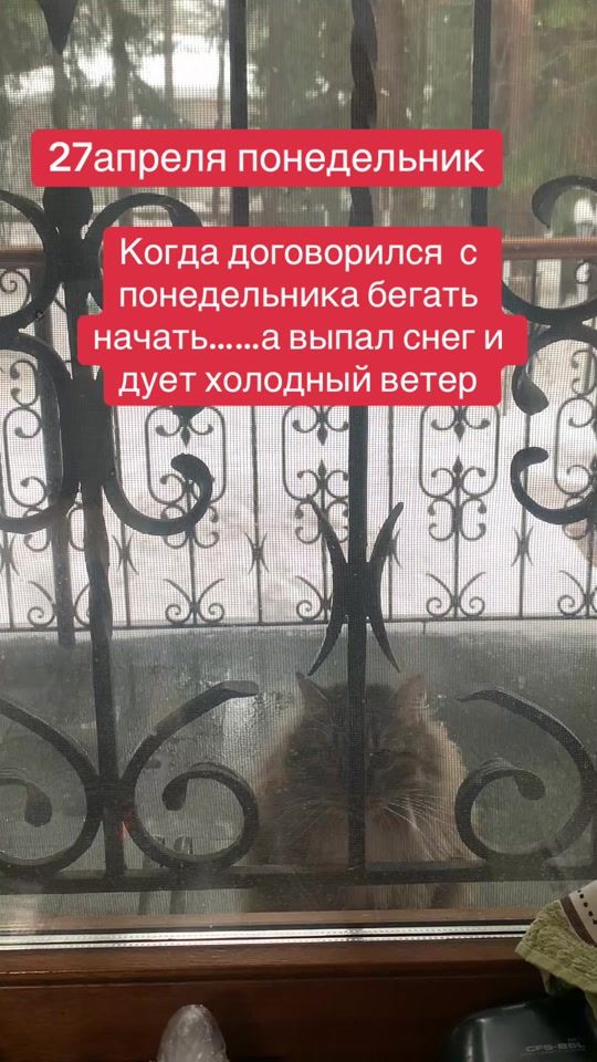 TikTok video thumbnail by bakaevamira