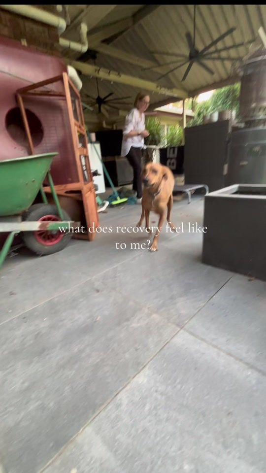 TikTok video thumbnail by dinodinonuggs
