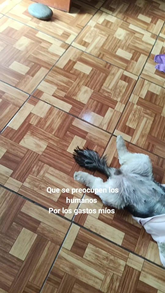 TikTok video thumbnail by yohanafernandez89