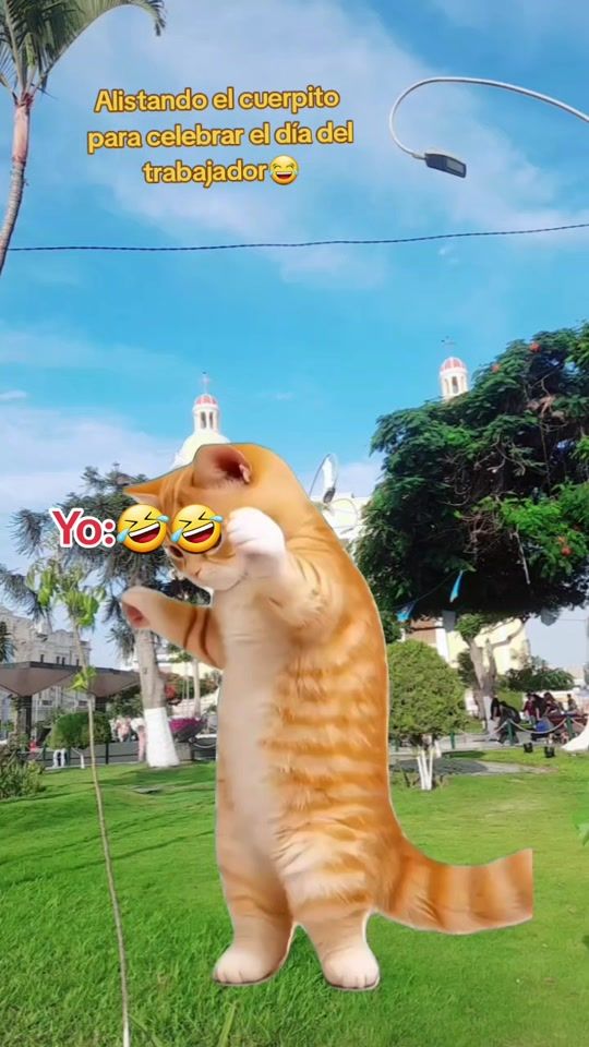 TikTok video thumbnail by laconsentida_dicouss
