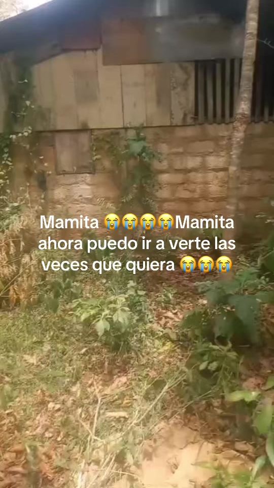 TikTok video thumbnail by ubecas20