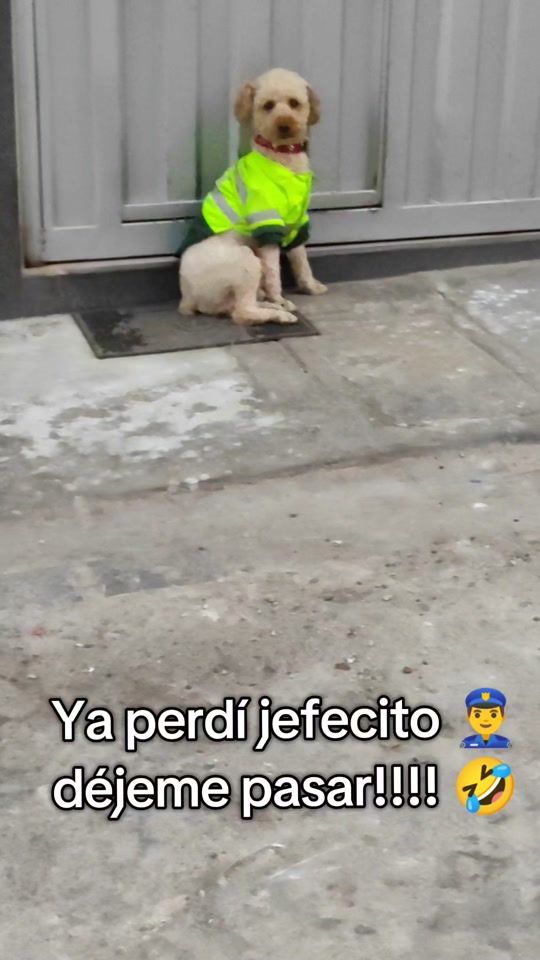 TikTok video thumbnail by doraao
