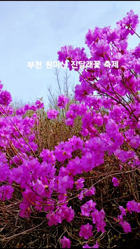 TikTok video thumbnail by user2102838183887
