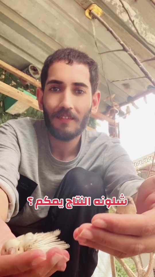 TikTok video thumbnail by kr_5l