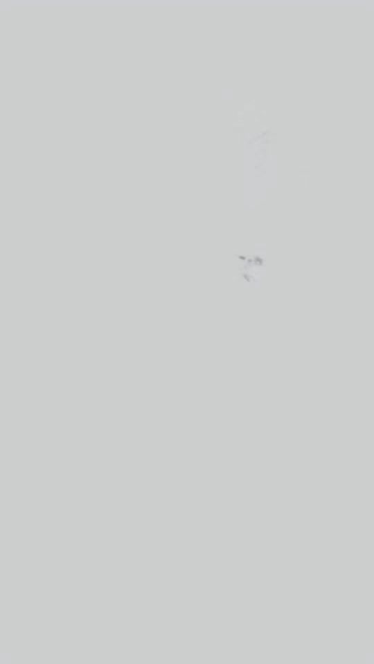 TikTok video thumbnail by shabi__3