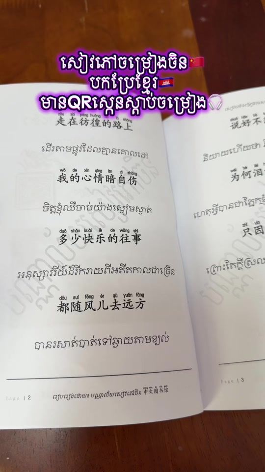 TikTok video thumbnail by chinese_books_library