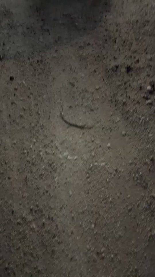 TikTok video thumbnail by donnnttry