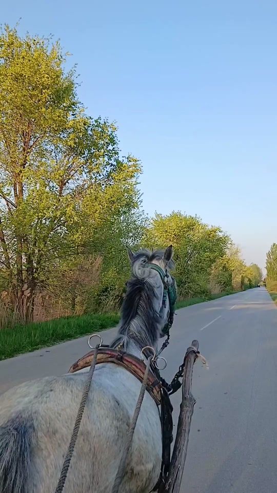 TikTok video thumbnail by benjaminerdeg2