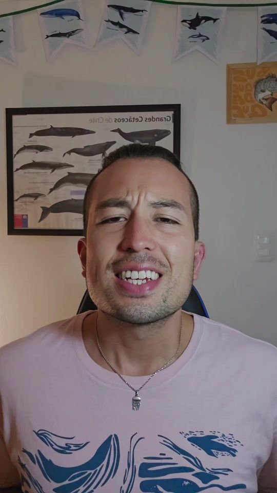TikTok video thumbnail by nico.olasp