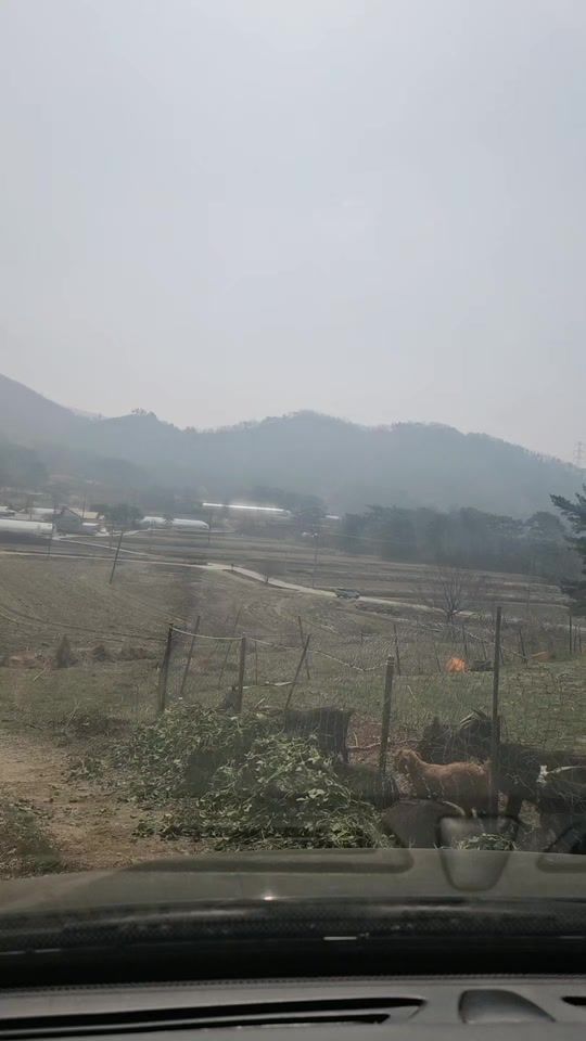 TikTok video thumbnail by pak11772