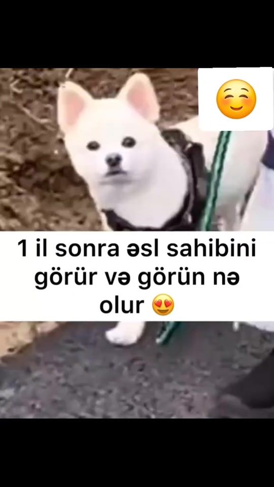 TikTok video thumbnail by 02.zamik.02