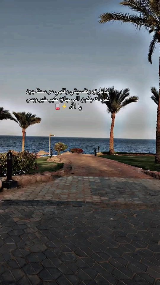TikTok video thumbnail by wtamdialayam