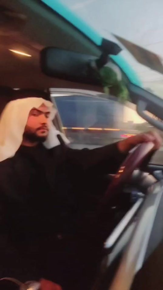 TikTok video thumbnail by seiiev