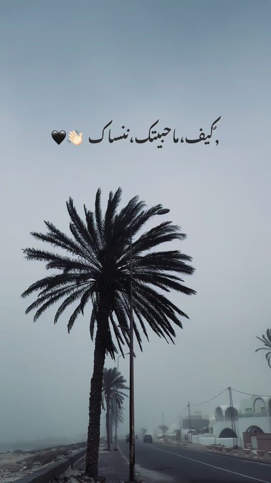 TikTok video thumbnail by khalil_rajeb