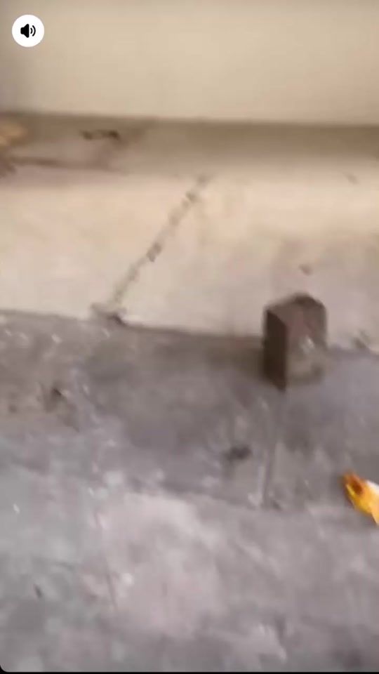 TikTok video thumbnail by solomeoparedesoficial