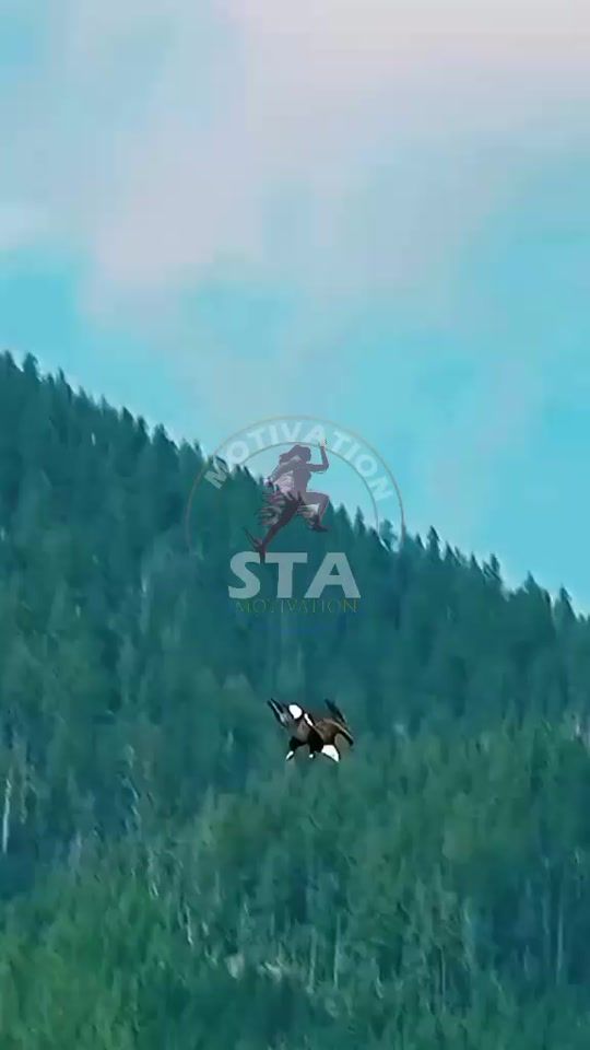 TikTok video thumbnail by stadanse