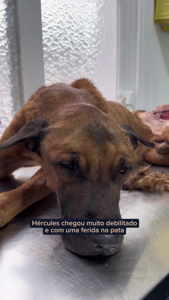 TikTok video thumbnail by institutoeliseu