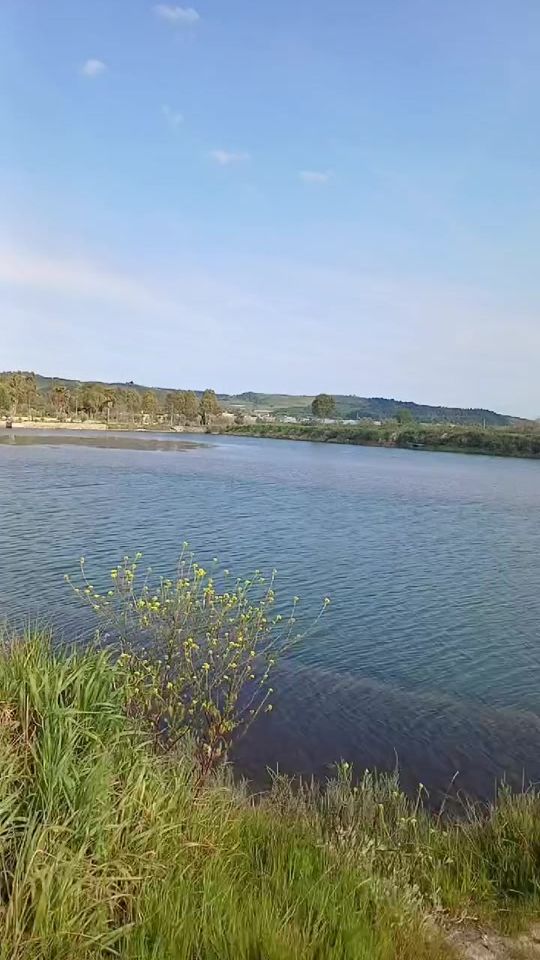 TikTok video thumbnail by erinafier3