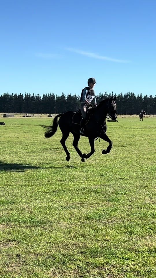 TikTok video thumbnail by brodieroberts.equestrian