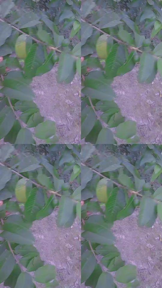 TikTok video thumbnail by badness766
