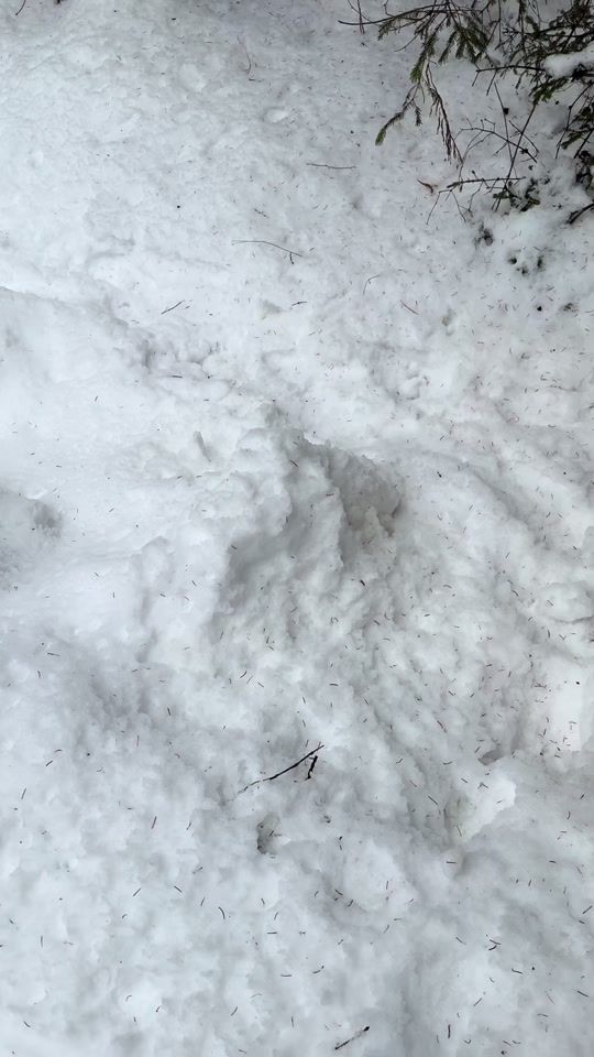TikTok video thumbnail by martinezdario_