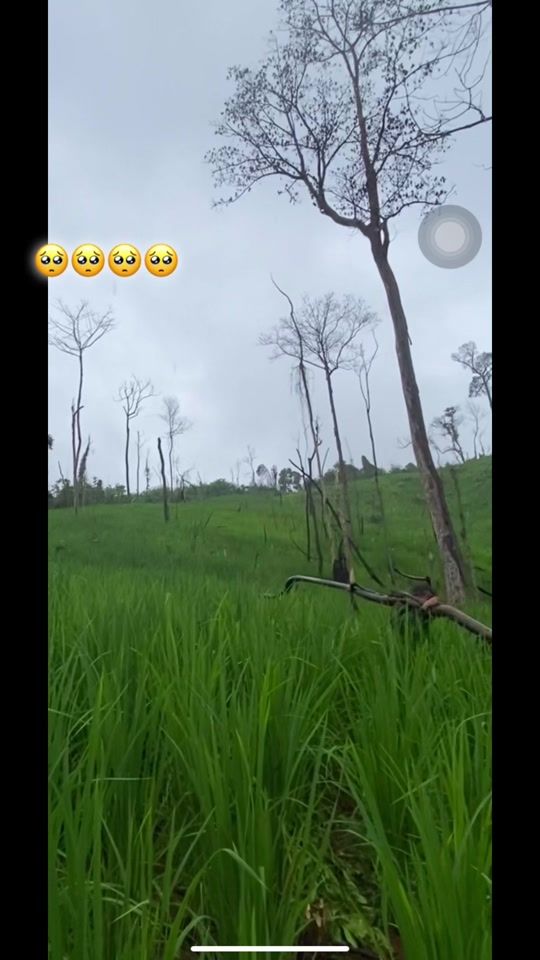 TikTok video thumbnail by ma_____737