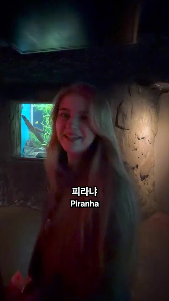 TikTok video thumbnail by korean_hamin
